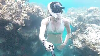 Snorkeling pokies