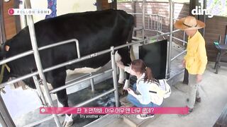 Somi experienced milking master