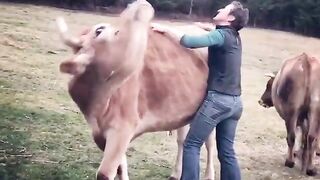 Goosie gets goofy when he gets scritches At Odd Man Inn Animal Refuge