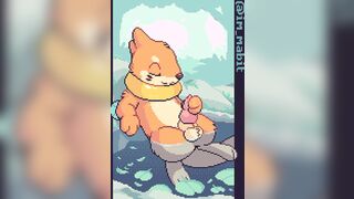 Buizel [M] (Mabit)