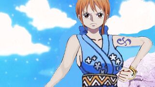 One Piece Nami's Over The Top Ecchi Wish list