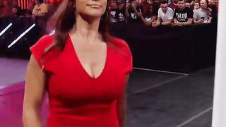 Stephanie McMahon winks at a random fan. I'm sure he got hard.