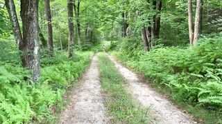 I dared her, and she was feeling brave. I was filming from the parking area of this popular hiking spot. She had nowhere to hide.