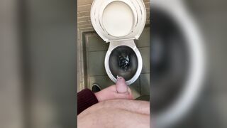 My 4 day load I blew in the public toilet