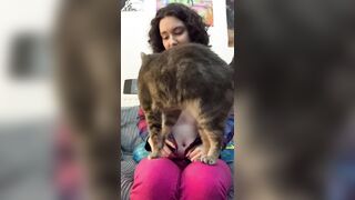 My cat becomes the star of my titty reveal